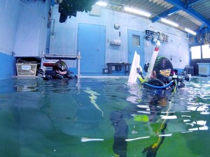 ダイブテリーズプロ向け勉強会