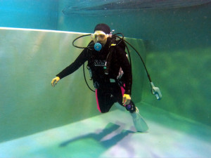初めてダイビング