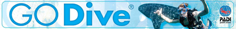 Go-Dive-banner4