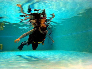 ダイブテリーズ