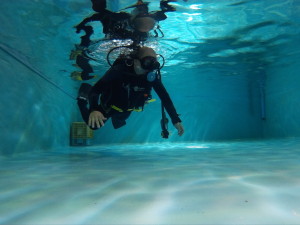 ダイブテリーズ