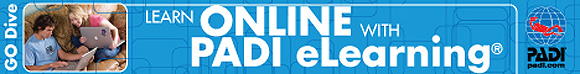 ダイブテリーズのeラーニングお申し込みはこちら