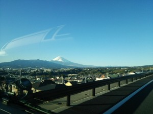 ダイブテリーズ