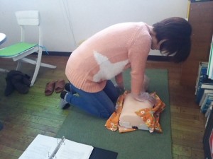 ダイブテリーズ