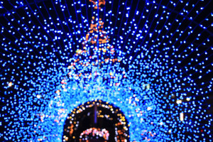 ダイブテリーズ