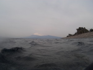 ダイブテリーズ