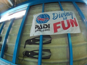 ダイブテリーズ