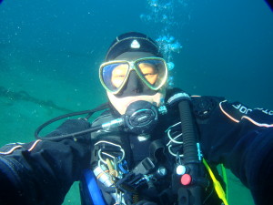 ダイブテリーズ