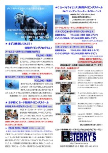 ダイブテリーズ