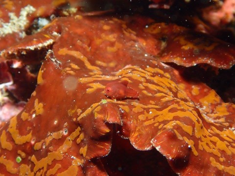 山口光子さん撮影。初カメラで苦戦してましたけど！