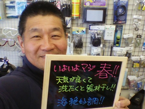 ダイブテリーズ