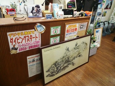 ダイブテリーズ