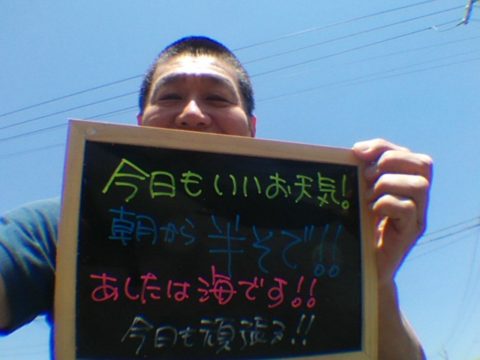 ダイブテリーズ