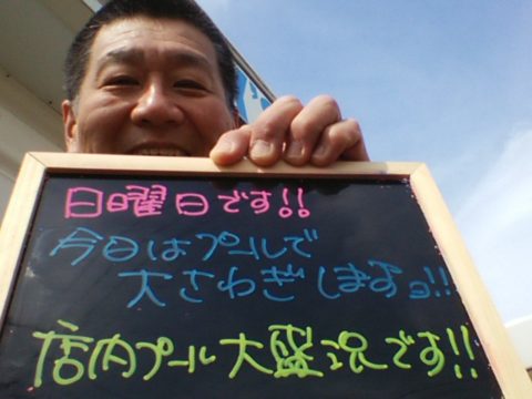 ダイブテリーズ