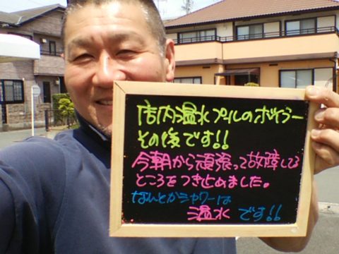 ダイブテリーズ