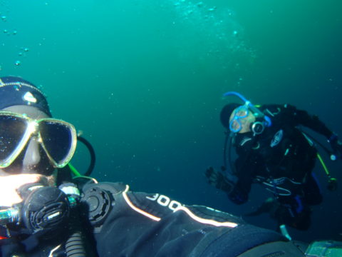 ダイブテリーズ