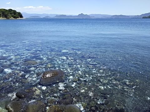 ダイブテリーズ