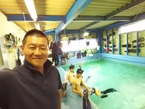 ダイブテリーズ