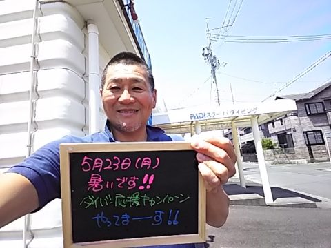 ダイブテリーズ