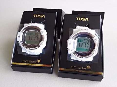 ダイブテリーズ