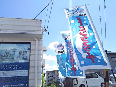 ダイブテリーズ