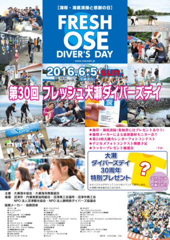 ダイブテリーズ