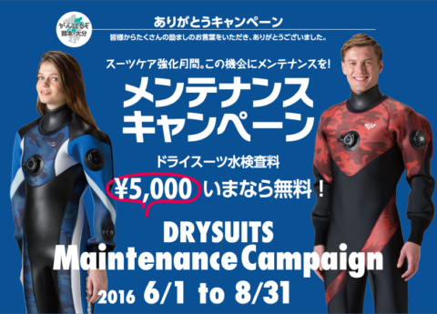 ダイブテリーズ