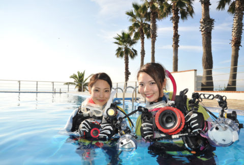 ダイブテリーズ