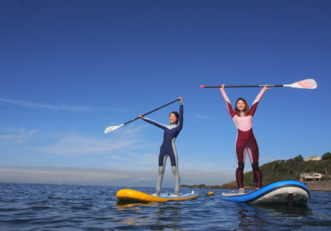 ダイブテリーズ