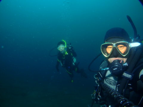 ダイブテリーズ