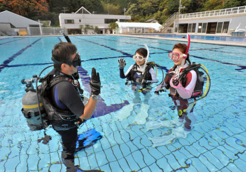 ダイブテリーズ