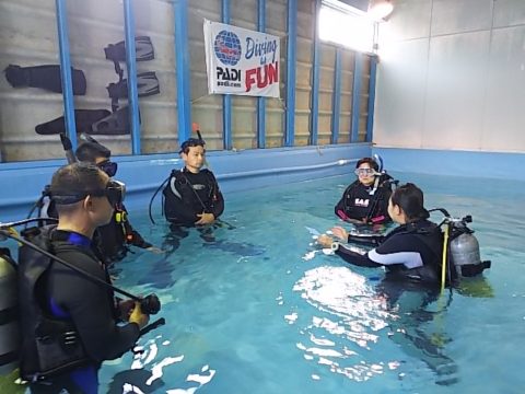 ダイブテリーズ