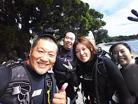 ダイブテリーズ