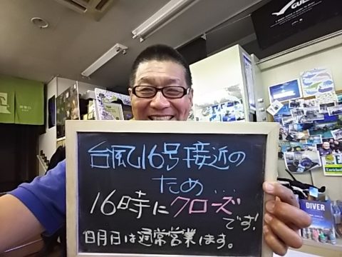 ダイブテリーズ