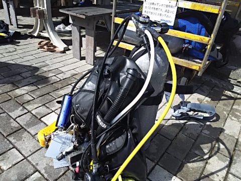 ダイブテリーズ