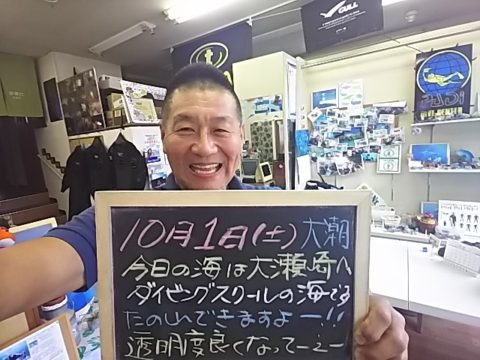 ダイブテリーズ