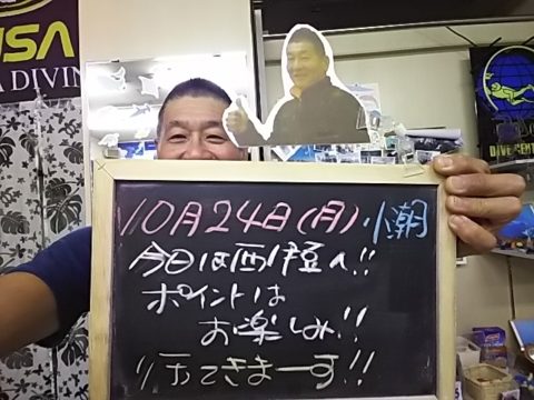 ダイブテリーズ