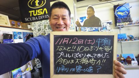 ダイブテリーズ