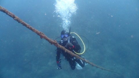 ダイブテリーズ