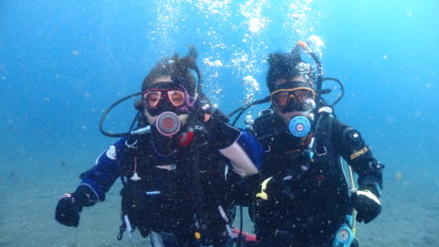 ダイブテリーズ