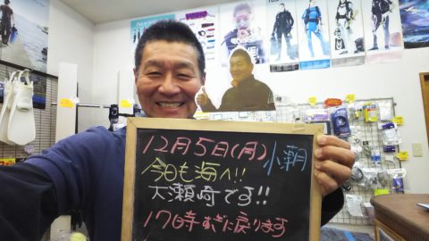 ダイブテリーズ