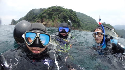 ダイブテリーズ