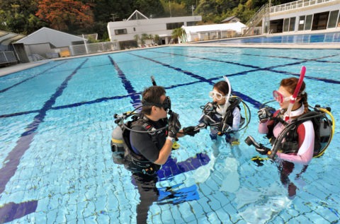 ダイブテリーズ