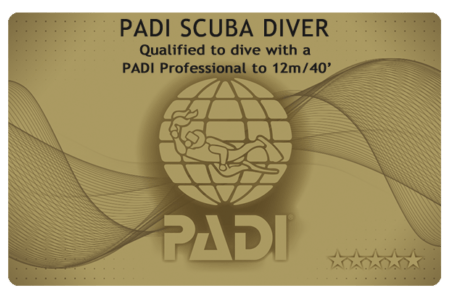 ダイブテリーズ