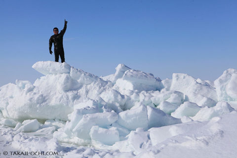 ダイブテリーズ