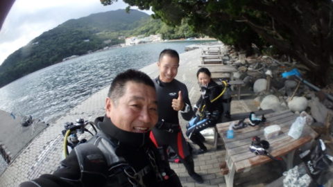 ダイブテリーズ