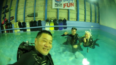 ダイブテリーズ