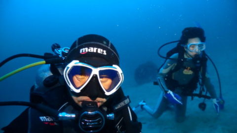 ダイブテリーズ