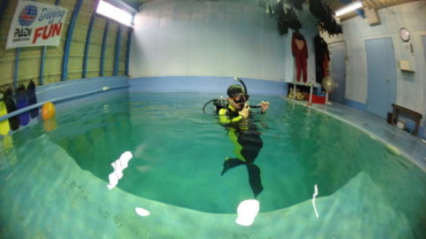 ダイブテリーズ