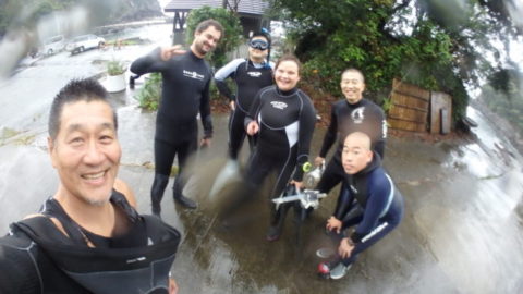 ダイブテリーズ